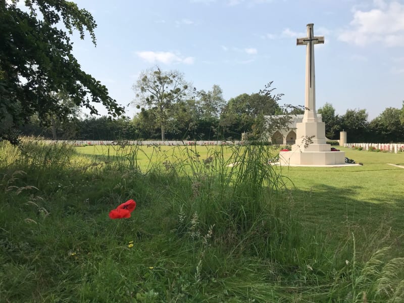 Outdoor scene, green grass and blue sky, a single red poppy in the grass, a white stone cross in the background.