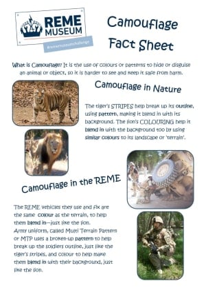 Activity fact sheet about camouflage with images and text on white background.