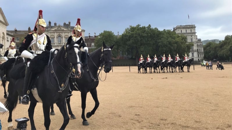 Photo of horses and household cavalry at Horse Guards Parade. Two horses and guards up close, others in background.