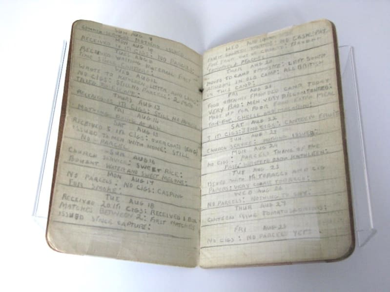 Image shows an open diary with handwritten entries